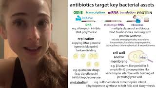 Antibiotic types amp resistance mechanisms an overview [upl. by Shere]