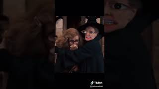 McGonagall vs Umbridge HarryPotter Hogwarts [upl. by Loram]