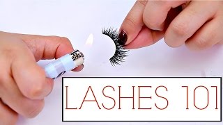 False Lashes Tips And Tricks For Beginners  The how to guide for Lashes [upl. by Wilscam63]