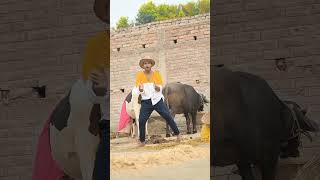 yadav ji ke ghanda 2  dance viral khesarilalyadav [upl. by Childers]