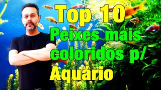 Top 10 Peixes mais coloridos de Água Doce no mundo do Aquarismo [upl. by Donaghue539]