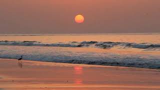 Sunset di tepi pantai No Copyright video [upl. by Quiteri]