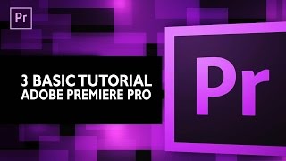 Premiere Pro Tutorial  3 Hal Penting Bagi Pemula Beginner Basic [upl. by Nassah]