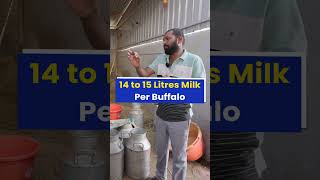 एक महीने की कमाई 2200000 रु😱💰करोड़ों कमाने वाला Dairy farm💯🔥 indianfarmer shorts [upl. by Vasiliki]