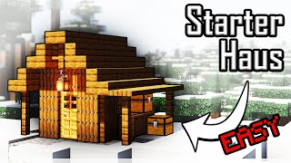 Minecraft Starterhaus bauen deutsch ❄ Minecraft Starter Haus verschneite Taiga [upl. by Yeltsew]