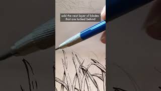 How to draw grass in penandink [upl. by Aralc942]