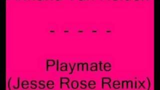 Armand Van Helden  Playmate Jesse Rose Remix [upl. by Susejedesoj22]