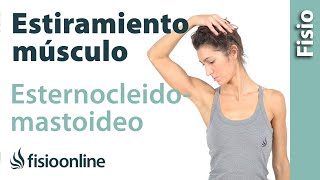 Automasaje para músculo esternocleidomastoideo  Relajar tensión cervical [upl. by Mcgean]