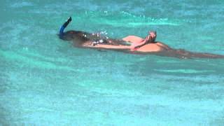 Snorkeling Anguilla Shoal Bay [upl. by Atilek796]