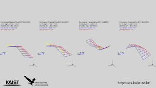 Flappingwing aeroelastic analysis considering wing flexibility [upl. by Meikah]