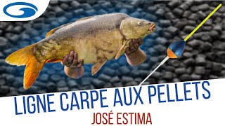 Tuto CARPE AU COUP  Le montage de ligne pour la Pêche de la Carpe aux Pellets [upl. by Agnot]