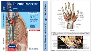 Thieme Dissector Volume 01 Upper Limb amp Thorax  MBBS Book  MS Book  Surgery Book  Dissection [upl. by Eesyak]