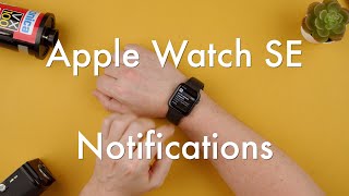 How to Check Notifications on the Apple Watch SE  Apple Watch SE [upl. by Karlen14]