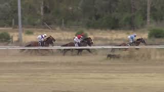 Narrabri 23 03 2024 Race 4 [upl. by Ailemor]