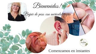 Auriculoterapia para bajar de peso [upl. by Leur]