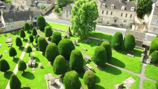 A focus on Yew hedging All you need to know about Taxus Baccata [upl. by Orford968]