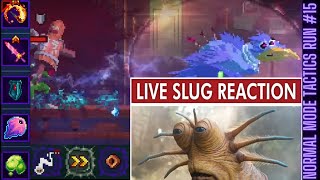 Dead Cells  Normal Mode Tactics Run no15 [upl. by Lithea]