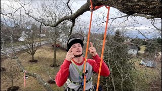 Measuring Tail On Canopy AnchorsTree ClimbingSRT collinbricker [upl. by Lise]