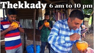 A day at Thekkady Kerala Episode 6 Periyar National Park Things to do in Thekkady [upl. by Amabelle]