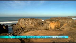 Quiberon une nature sauvage et préservée [upl. by Melonie]