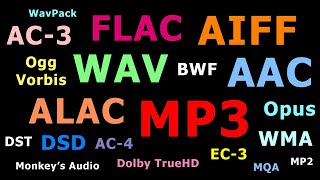 Explaining Audio File Formats [upl. by Yeoj]