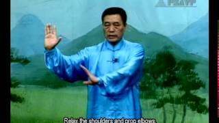 Liang Style BaGua Basic Exercises [upl. by Goraud]