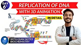 replication of dna biochemistry  dna replication in prokaryotes amp eukaryotes biochemistry [upl. by Chrissa294]