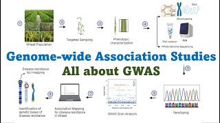 Genome wide association studies All about GWAS Technique in Molecular Plant Breeding [upl. by Peyton38]