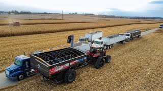 EPIC Wisconsin Corn Harvest  TWO Case IH Combines and TWO Case IH Magnum ROWTRACs  Part 1 [upl. by Hallie]