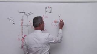 Immunology Lecture 1 Part 3 [upl. by Yentruoc]