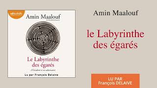 quotLe Labyrinthe des égarésquot dAmin Maalouf lu par François Delaive l Livre audio [upl. by Sadiras]