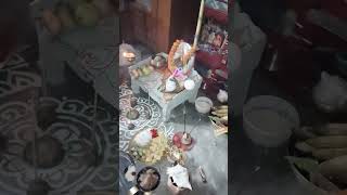 Ki kore dekha kori bolo barite je pujo love viralvideos youtube trending hindu festival god [upl. by Nyrrek]