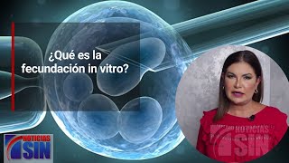 La Consulta ¿Qué es la fecundación in vitro [upl. by Novyak]