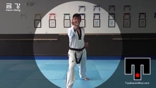 WT Taekwondo Black Belt Poomsae Keumgang  품새 금강  TaekwonWoo [upl. by Alyosha621]