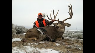 Giant 200quot Typical Mule Deer DIY Eastern Colorado [upl. by Madalena]