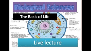 The Basis of Life  Cell Structures and FunctionsSubcellular Organelles like Nucleus Mitochondria [upl. by Ecila]