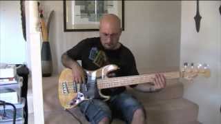 Never Stop  The Brand New Heavies  Bass Cover Sadowsky MV5  Single Coils [upl. by Milford]