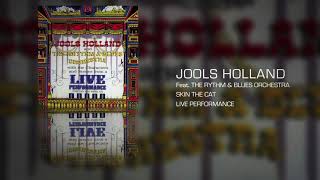 Jools Holland and The Rythm amp Blue Orchestra  Skin The Cat Official Audio [upl. by Schrader]