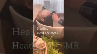 시원한 샴푸 shampooing hair asmr asmr [upl. by Anor]