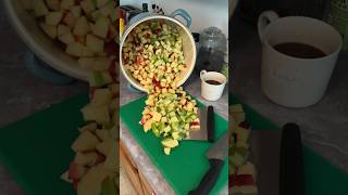 🍎 HOW TO CAN APPLESAUCE 🍏 The BEST applesauce you’ll ever eat homesteading canning prepping [upl. by Drida765]