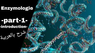 Part1  Enzymologie introduction  درس الانزيمات بالعربية [upl. by Windham]