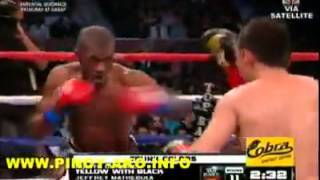 BOXING Nonito Donaire vs Jeffrey Mathebula Fight Video 08 July 20123 [upl. by Gradeigh181]