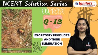 Exercise Q12 Excretory Products And Their Elimination  Class 11  NCERT Solution Series  BIOLOGY [upl. by Elah325]