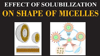 Effect of Solubilization on Shape of Micelles  Chemistry Insights By Dr Usman  ChemClarity [upl. by Kosak]