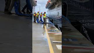 linesmen pulling mooring lines trending carnivalcruiseline music [upl. by Clere470]