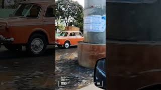 Vintage Padmini classic car subscribe automobile vintage vintagecars shorts shortvideo viral [upl. by De Witt]