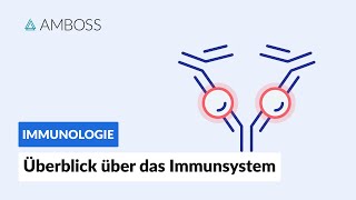 Überblick über das unspezifische und spezifische Immunsystem  Immunologie  AMBOSS Video [upl. by Greenfield873]