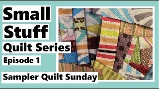 Small Stuff Quilt Series Ep1  Getting Started  Sampler Quilt Sunday [upl. by Zolly192]