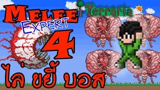 Terraria Melee Expert ตอนที่ 4 ไล่ขยี้บอส แป๊ป [upl. by Euqinahc]