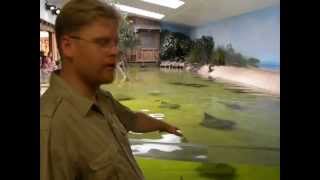 Stingray Bay at Fort Wayne Childrens Zoo [upl. by Ragouzis289]